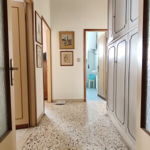 IMG20250304123238