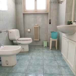 IMG20250304123436