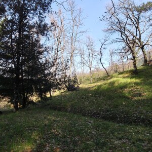 IMG20250403110655