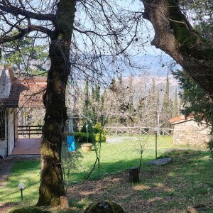 IMG20250403110709