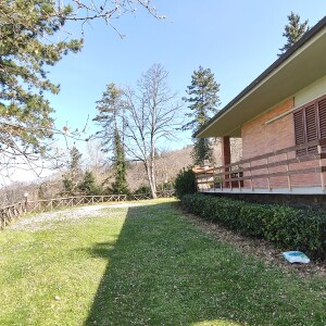 IMG20250403111124