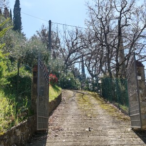 IMG20250403111300