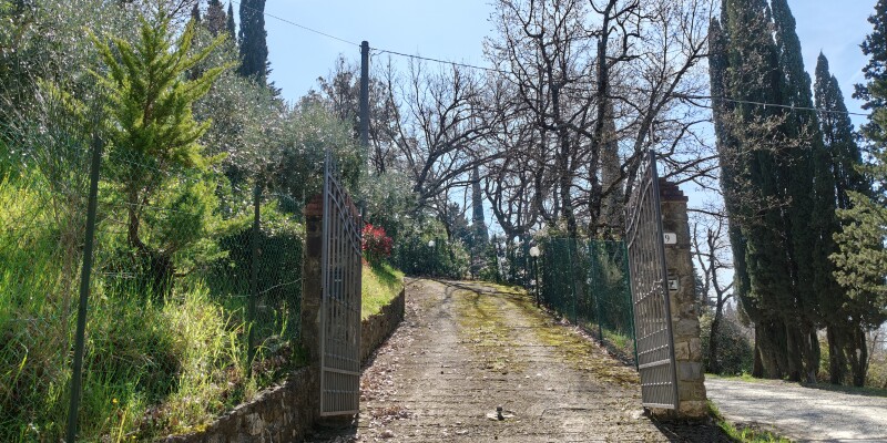 IMG20250403111300