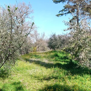 IMG20250403111329