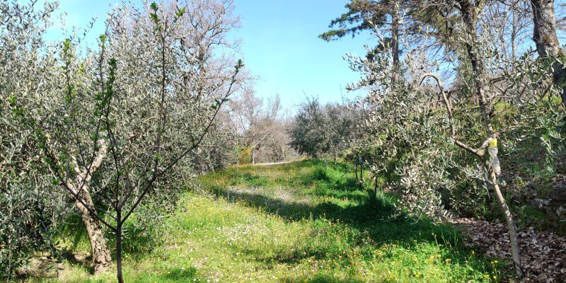 IMG20250403111329