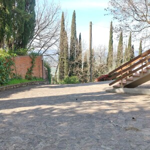 IMG20250403111715