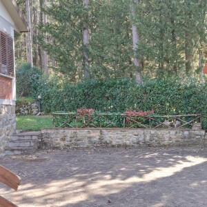 IMG20250403111730
