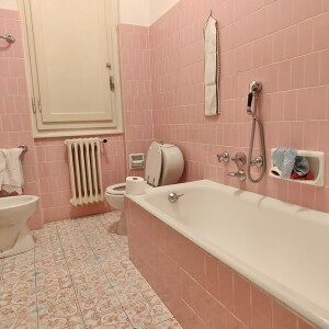 IMG_20250403_124250