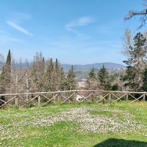 IMG_20250403_124408