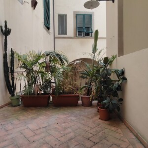 IMG20250620124245