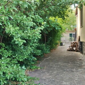 IMG_20250707_184935