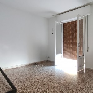 IMG20260217123002