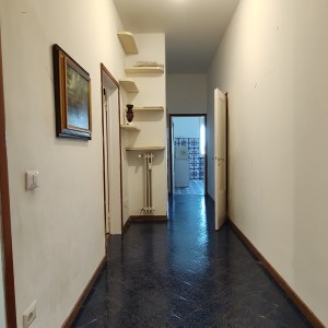 IMG20260217123441