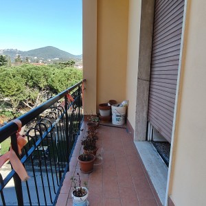 IMG20260217123623