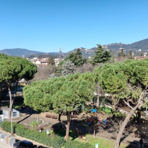 IMG20260217123627