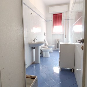 IMG20260217123716