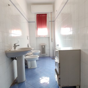 IMG20260217123721