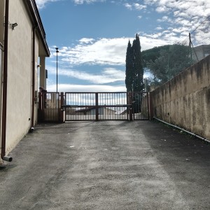 IMG20260220125132