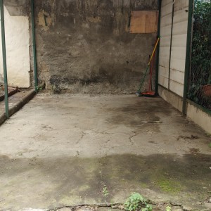 IMG20260311103605