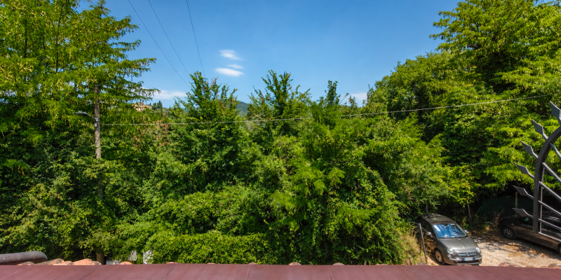 file_00000000d79c7243a913254d19e72b08