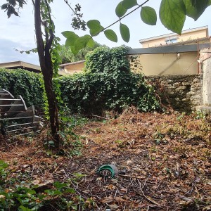 IMG20260910095902