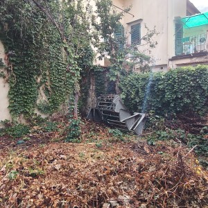 IMG20260910095935