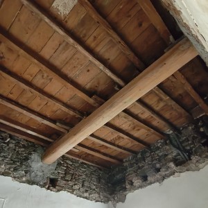IMG20260910100244